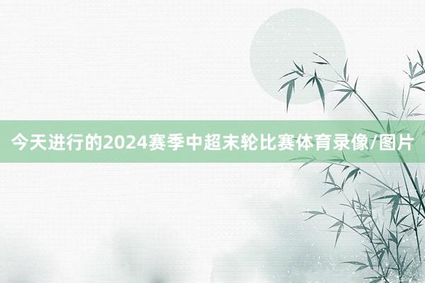 今天进行的2024赛季中超末轮比赛体育录像/图片