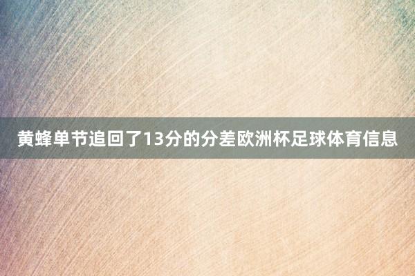 黄蜂单节追回了13分的分差欧洲杯足球体育信息