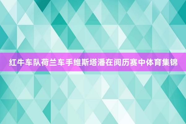 红牛车队荷兰车手维斯塔潘在阅历赛中体育集锦