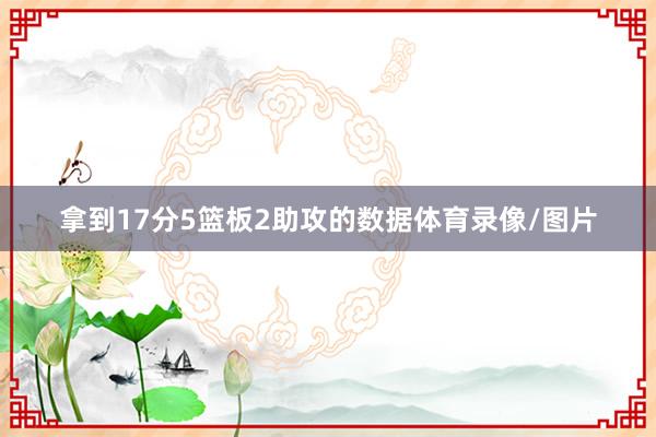 拿到17分5篮板2助攻的数据体育录像/图片