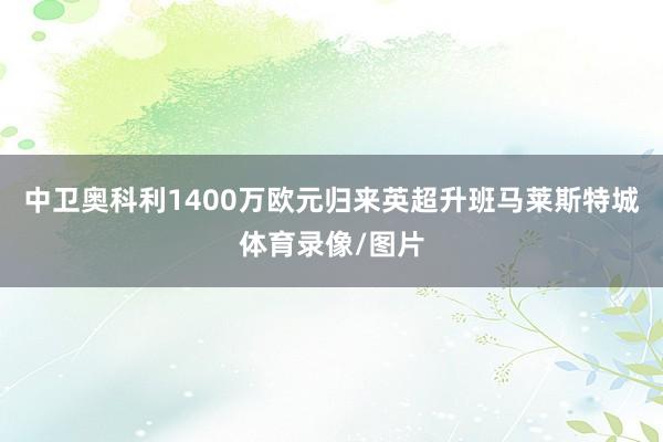 中卫奥科利1400万欧元归来英超升班马莱斯特城体育录像/图片