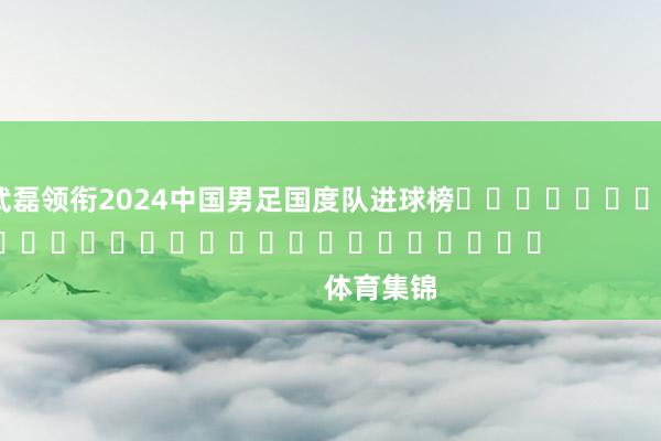 武磊领衔2024中国男足国度队进球榜																															                体育集锦