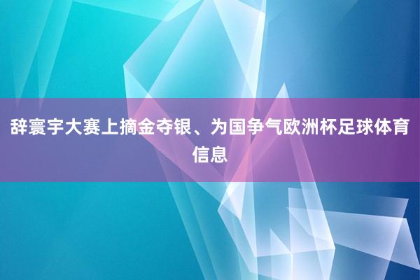 辞寰宇大赛上摘金夺银、为国争气欧洲杯足球体育信息