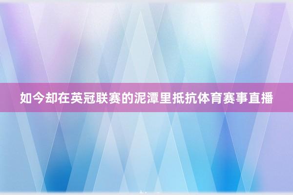 如今却在英冠联赛的泥潭里抵抗体育赛事直播