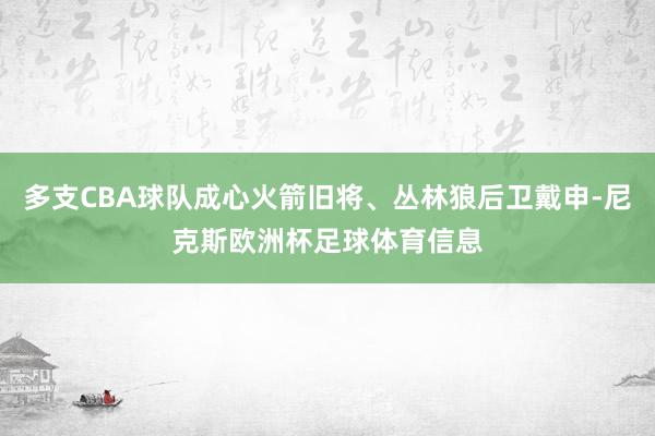 多支CBA球队成心火箭旧将、丛林狼后卫戴申-尼克斯欧洲杯足球体育信息