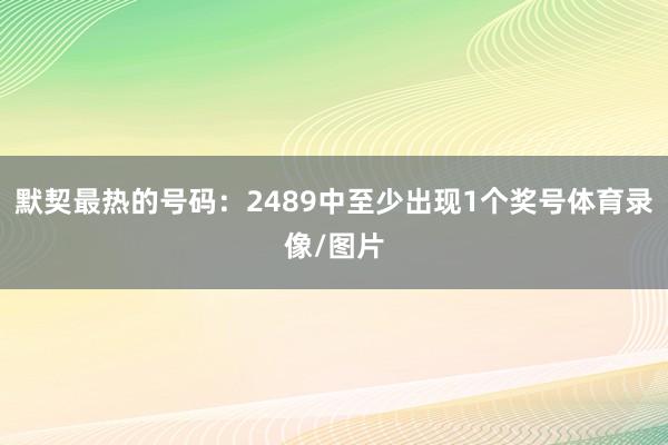 默契最热的号码：2489中至少出现1个奖号体育录像/图片