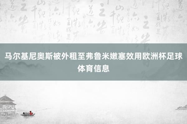 马尔基尼奥斯被外租至弗鲁米嫩塞效用欧洲杯足球体育信息