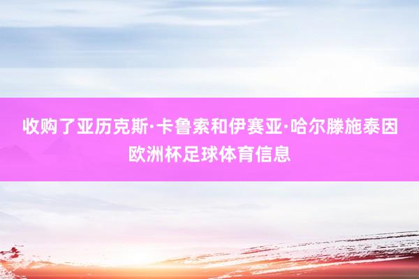 收购了亚历克斯·卡鲁索和伊赛亚·哈尔滕施泰因欧洲杯足球体育信息