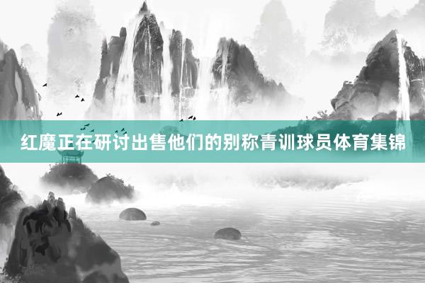 红魔正在研讨出售他们的别称青训球员体育集锦