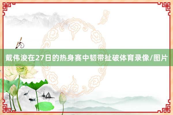 戴伟浚在27日的热身赛中韧带扯破体育录像/图片